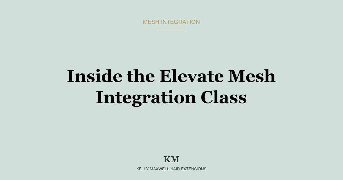 Mesh Integration Training: What You Actually Learn in the Elevate Class