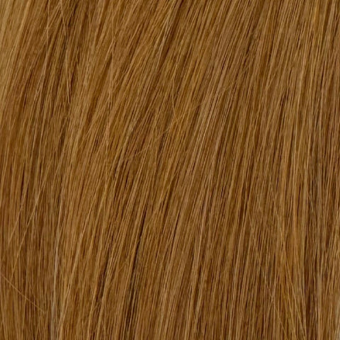 Whole (23 - Mesh Closure)