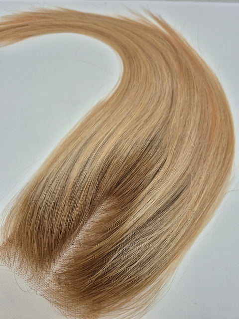 Healthy (17 - Mesh Closure)