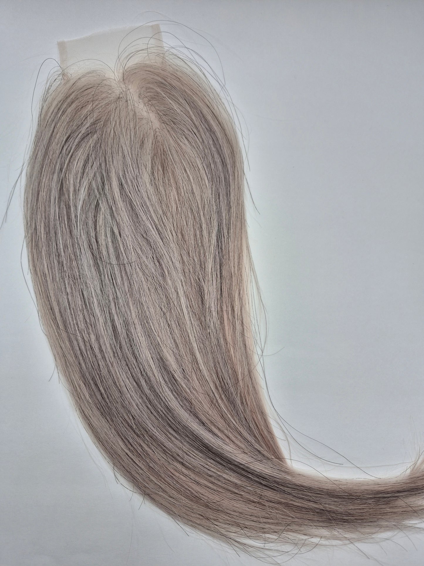Bold (36 - Mesh Closure)